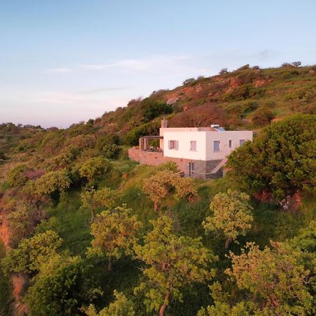 Cycladic Villa With Sea View! Ioulis Buitenkant foto